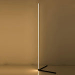 Minimalist Led Floor Lamp