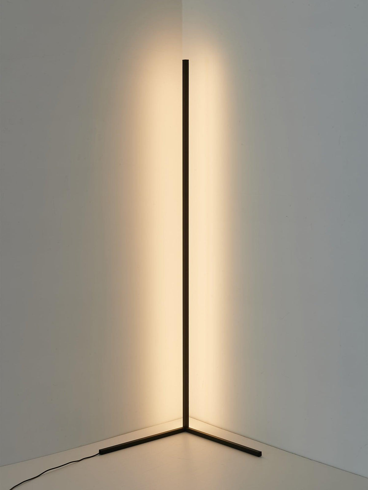Minimalist Led Floor Lamp