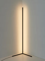 Minimalist Led Floor Lamp