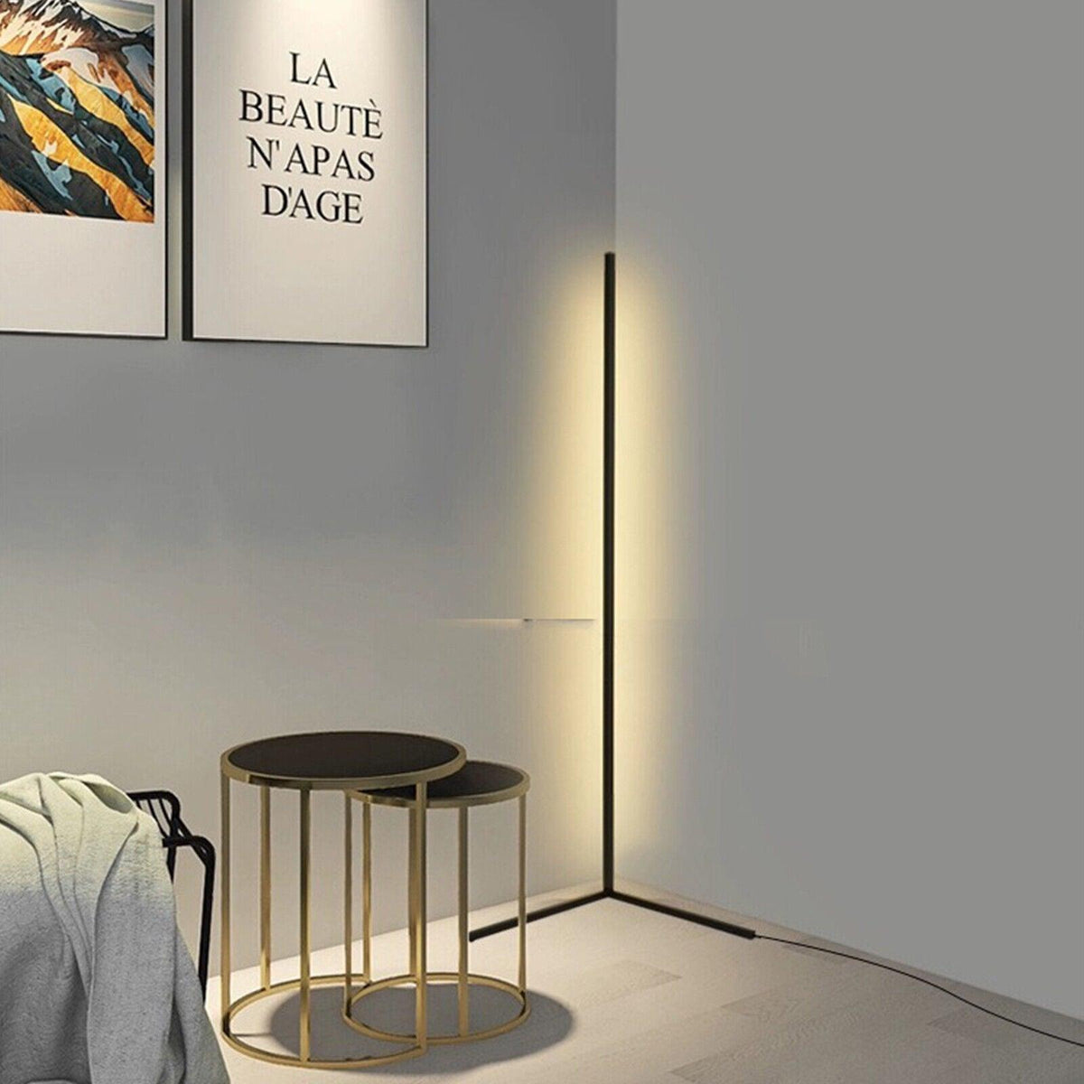 Minimalist Led Floor Lamp