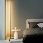 Minimalist Led Floor Lamp