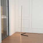 Minimalist Led Floor Lamp