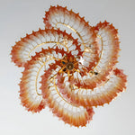 Murano Shaded Amber Prism Chandelier