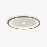 Modern Nordic LED Ceiling Lamp Aluminum Flush Mount for Living Room Bedroom