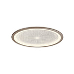 Modern Nordic LED Ceiling Lamp Aluminum Flush Mount for Living Room Bedroom