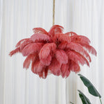 Ostrich Feather Pendant Lamp