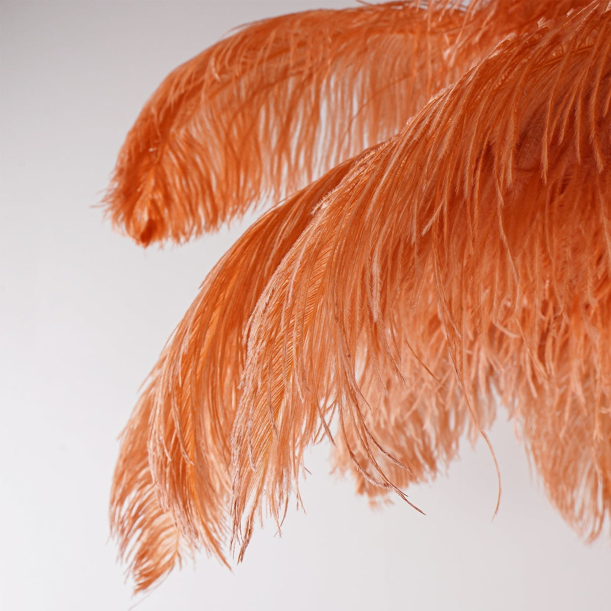 Ostrich Feather Floor Lamp