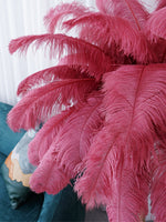 Ostrich Feather Floor Lamp