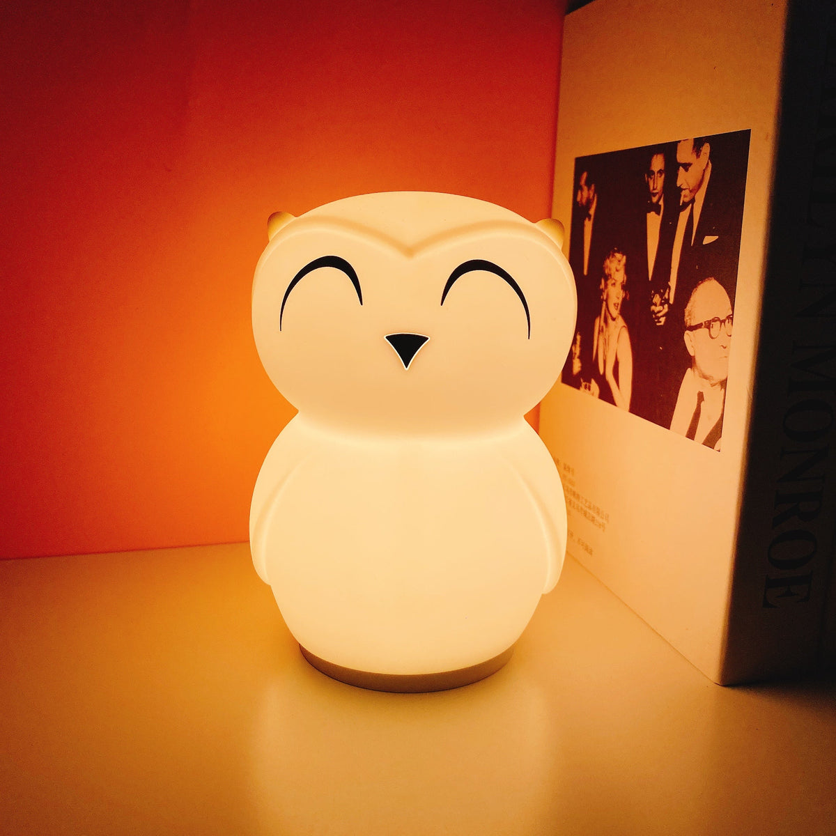 owl-timing-night-light