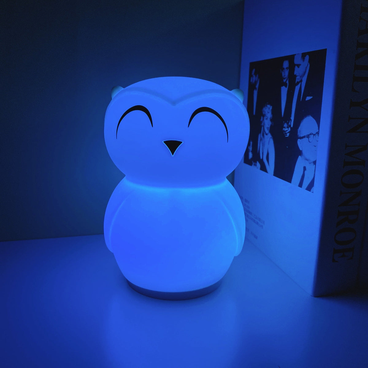 owl-timing-night-light