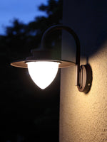 Pine Cone Outdoor Wall Light – IP65 Wet-Rated Iron Sconce for Patio, Porch & Entryway