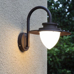 Pine Cone Outdoor Wall Light – IP65 Wet-Rated Iron Sconce for Patio, Porch & Entryway