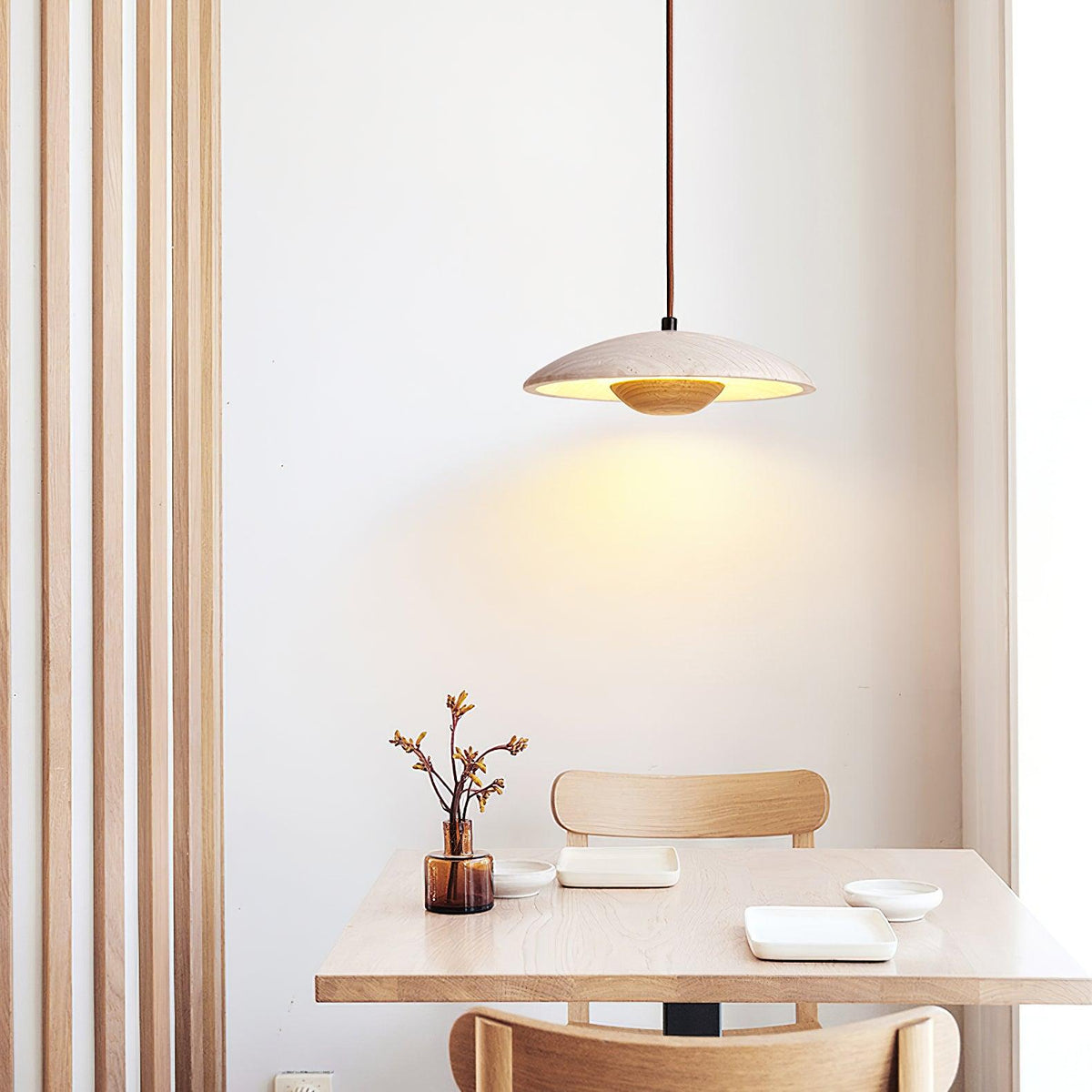 plate-pendant-lamp