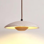 plate-pendant-lamp
