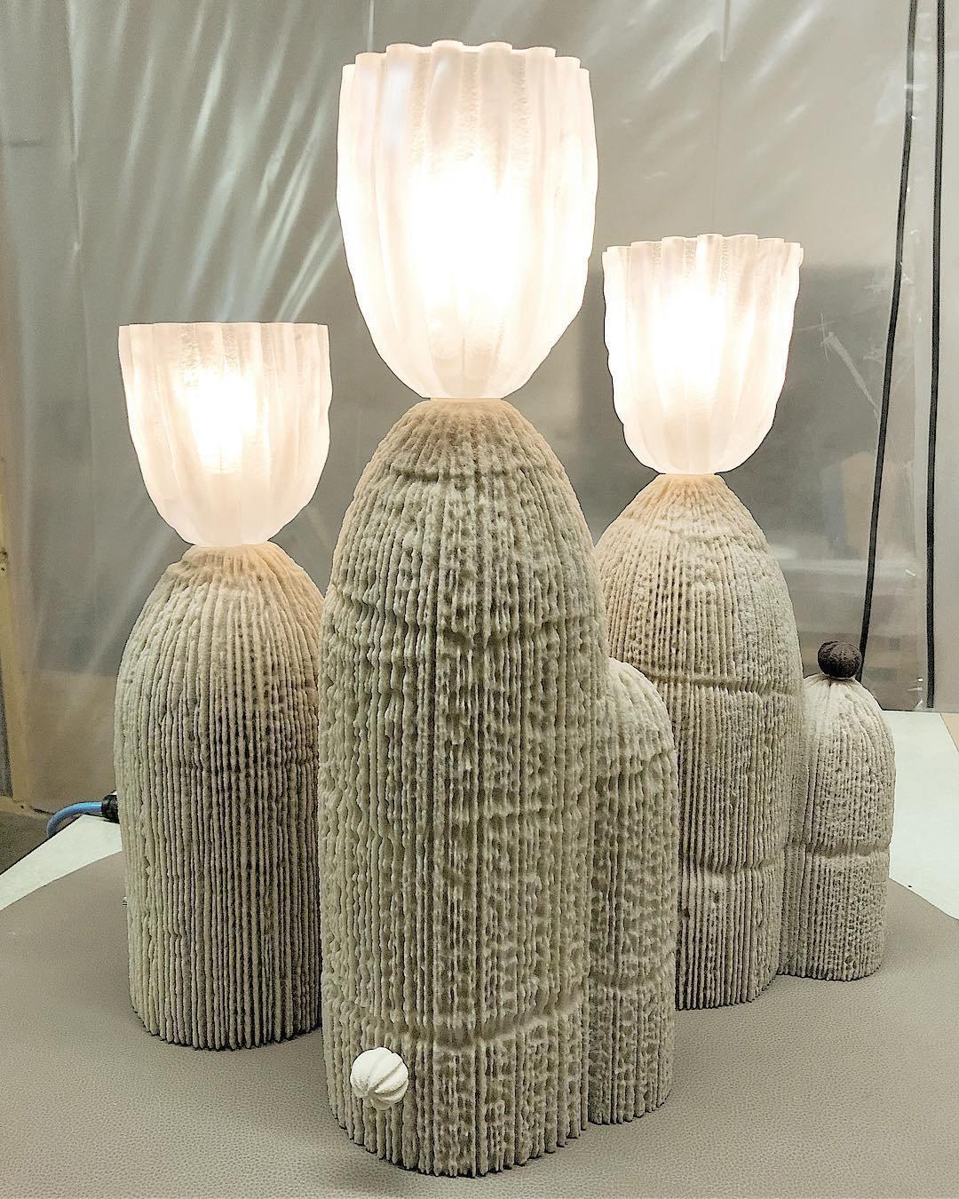 Rbs Cactus Lamp