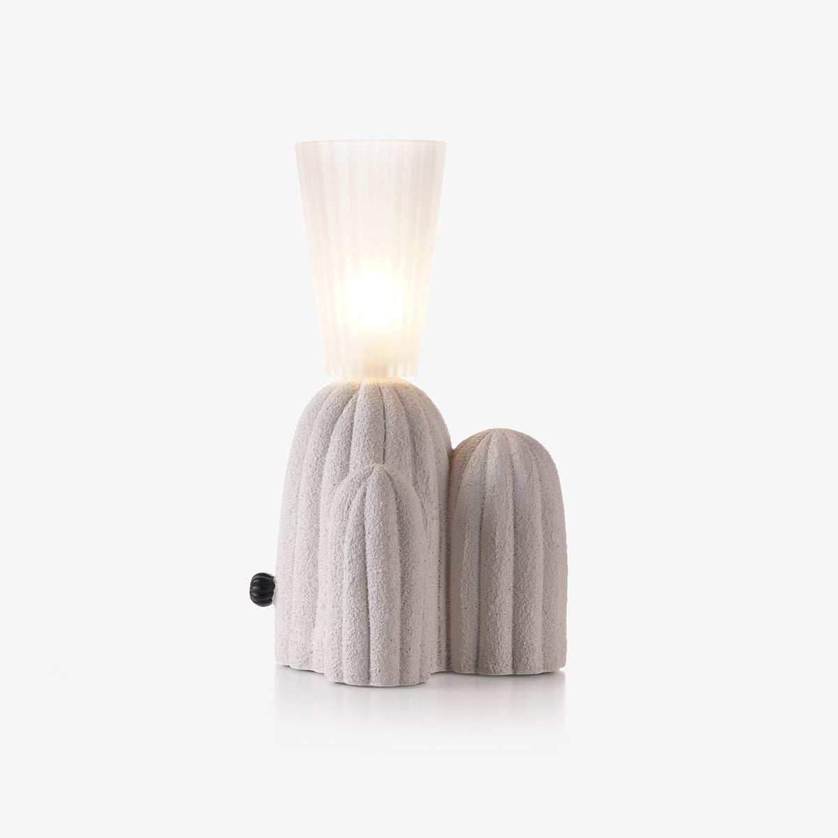 Rbs Cactus Lamp