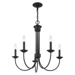 richeson-chandelier