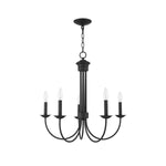 richeson-chandelier