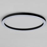 Lighting Ceiling Lights Flush Mount Lighting_Tli00190