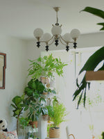 tina-3-light-shaded-chandelier