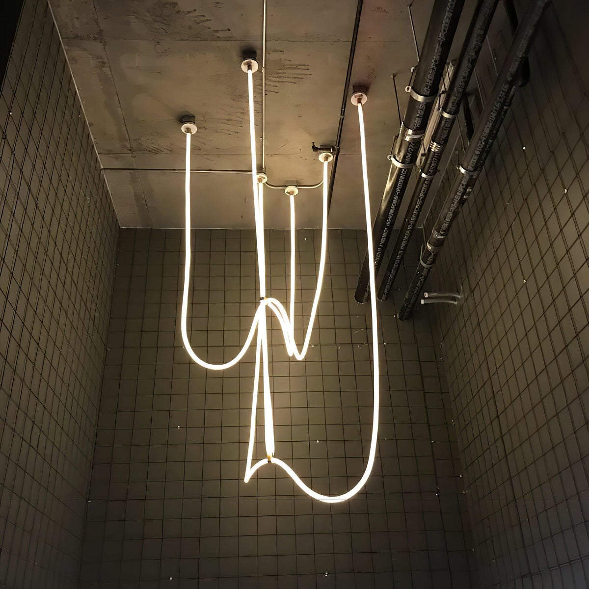 Flexible Curve Line Pendant Lamp