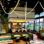 Flexible Curve Line Pendant Lamp