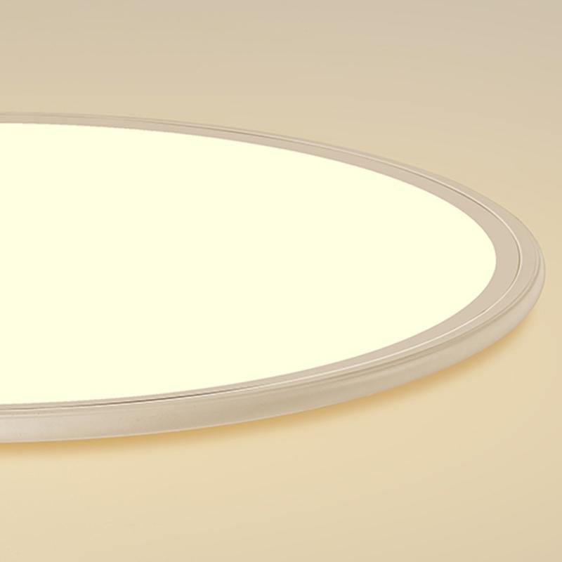 Lighting Ceiling Lights Flush Mount Lighting_Tli00222