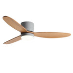 Led Inverter Silent Nordic Light Fan Ceiling Fan With Lamp