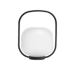 Portable Solar Powered Outdoor Floor Lamp Ha092517