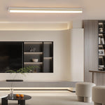 Lighting Ceiling Lights Flush Mount Lighting_Tli00153