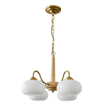 E27 Led Nordic Hanging Ceiling Lights