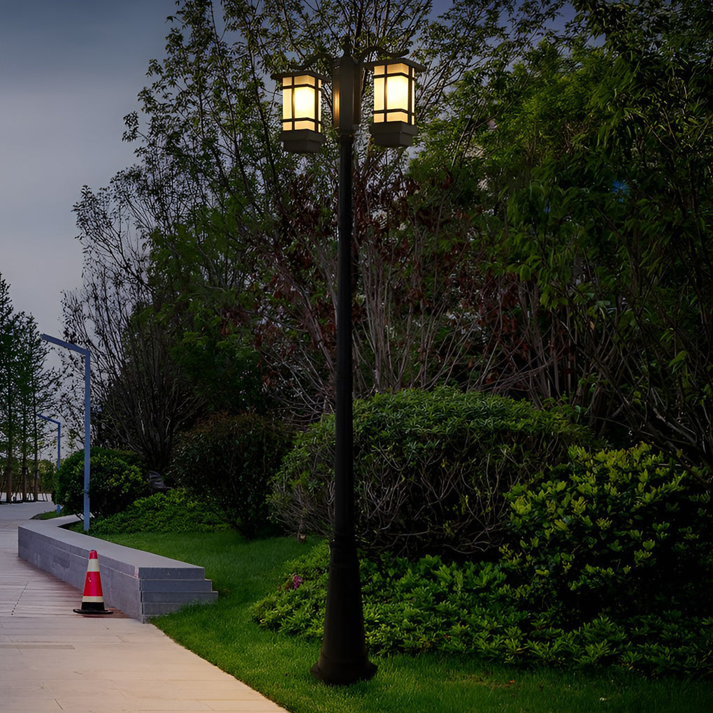 Waterproof Black Modern Outdoor Street Lights Li002022