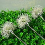 Flowers Decor Solar Lawn Light Ha080970