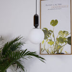 Aballs Glass Pendant Lamp