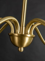 ableton-classic-traditional-chandelier