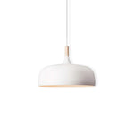 18 Acorn Pendant Light
