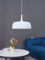 18 Acorn Pendant Light