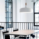 18 Acorn Pendant Light