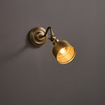 addison-gooseneck-wall-lamp