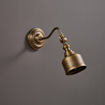 addison-gooseneck-wall-lamp