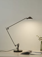 Adjustable Black Office Task Lamp