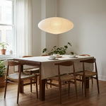 akari-oval-pendant-light
