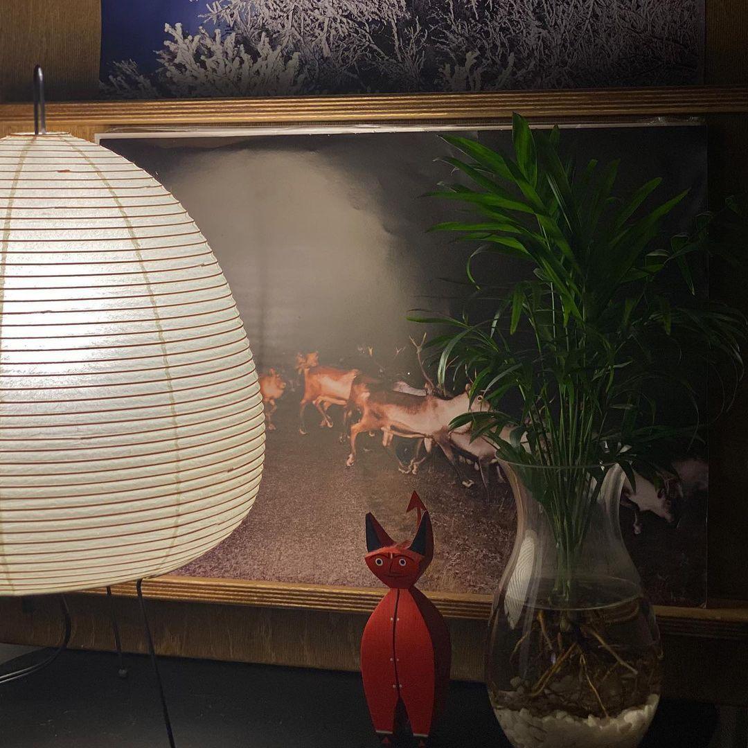 Xuanzhi Table Lamp