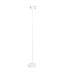ambient-floor-lamp
