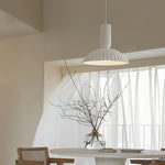 Apollo Fluted Pendant Lamp