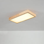 Aska Array Ceiling Light
