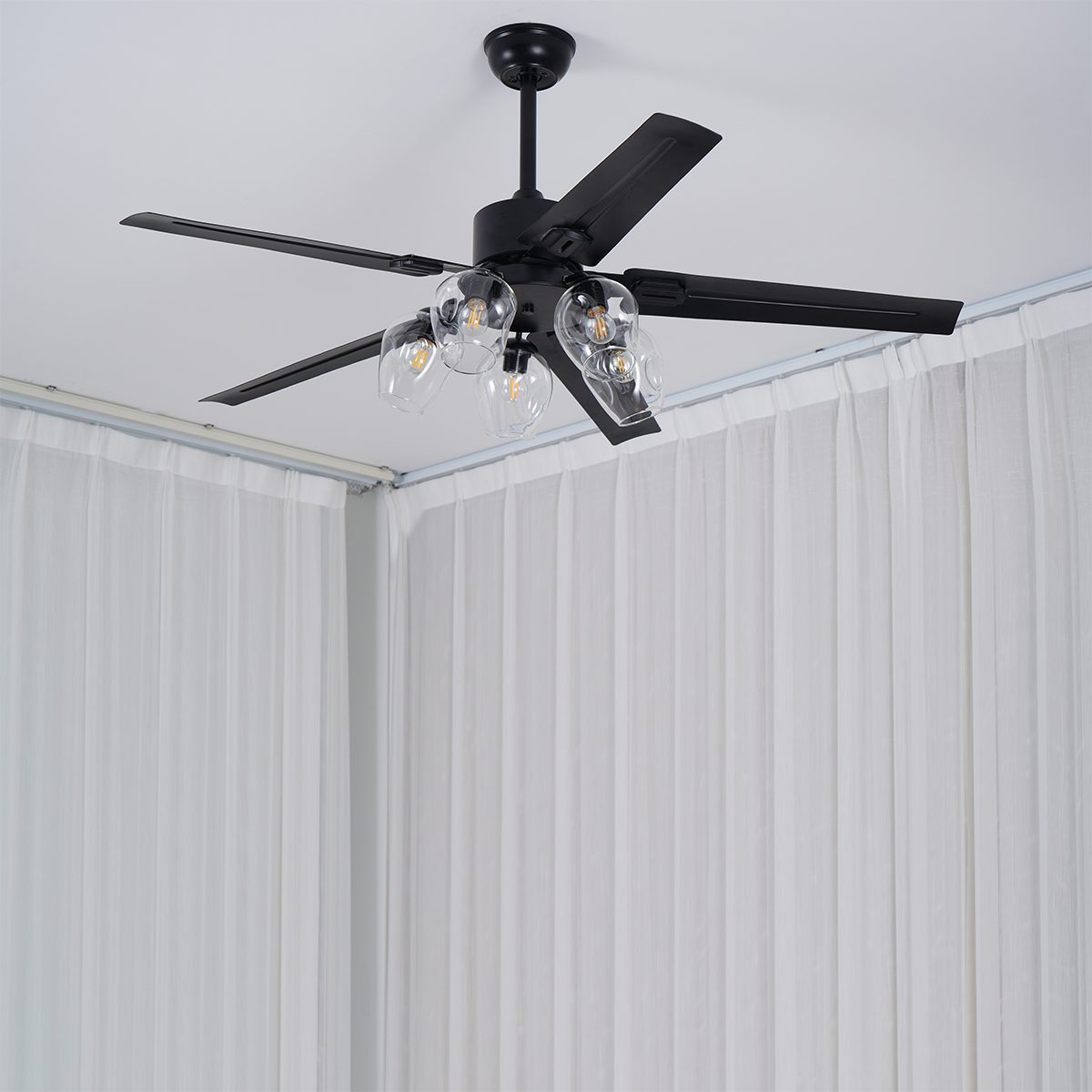 Glass Ball Ceiling Fan light