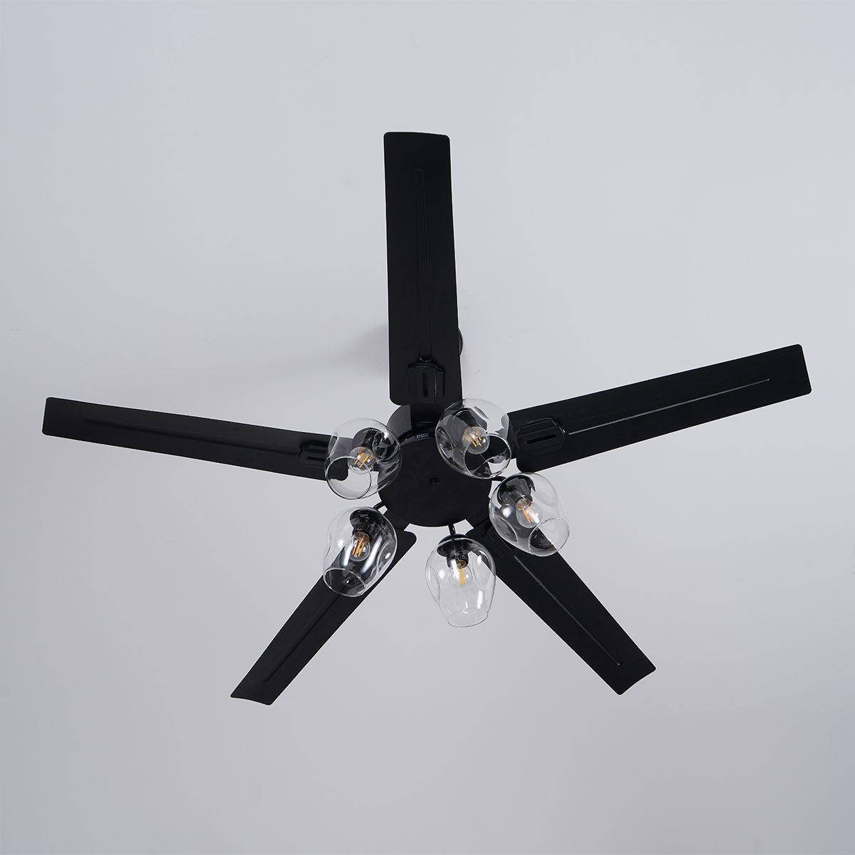 Glass Ball Ceiling Fan light