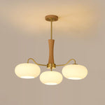 Brass Wooden Persimmon Ceiling Lamp