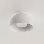 Carins Ceiling Light